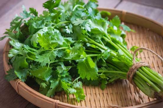 7 loại rau thơm có tác dụng trị bệnh cực tốt, không biết là bỏ phí "thần dược"