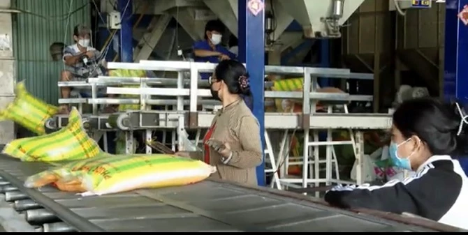 Công ty TNHH sản xuất, thương mại Phước Thành IV đầu tư phát triển sản xuất trở thành DN tiêu biểu của tỉnh 