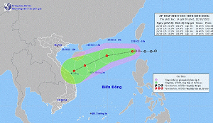 Khẩn trương ứng phó với áp thấp nhiệt đới cấp 6, giật cấp 8