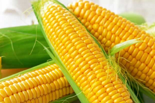 8 th&#x1EF1;c ph&#x1EA9;m n&#xEA;n &#x103;n v&#xE0;o bu&#x1ED5;i s&#xE1;ng thay v&#xEC; &#x103;n qu&#xE1; nhi&#x1EC1;u x&#xF4;i, b&#xFA;n, ph&#x1EDF; n&#x1EBF;u mu&#x1ED1;n t&#x103;ng 7-10 n&#x103;m tu&#x1ED5;i th&#x1ECD;