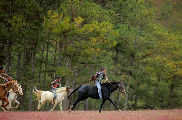 Giải đua ngựa không yên lần đầu tiên được tổ chức một cách chuyên nghiệp tại Trường đua ngựa Khu du lịch sinh thái - văn hóa SXHQ, để hưởng ứng Festival Hoa Đà Lạt năm 2022.