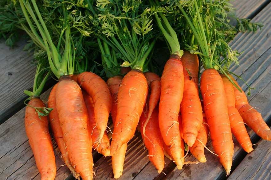 Điểm danh 5 loại thực phẩm mát gan- giải độc, lấy lại cân bằng cho gan hiệu quả số 1