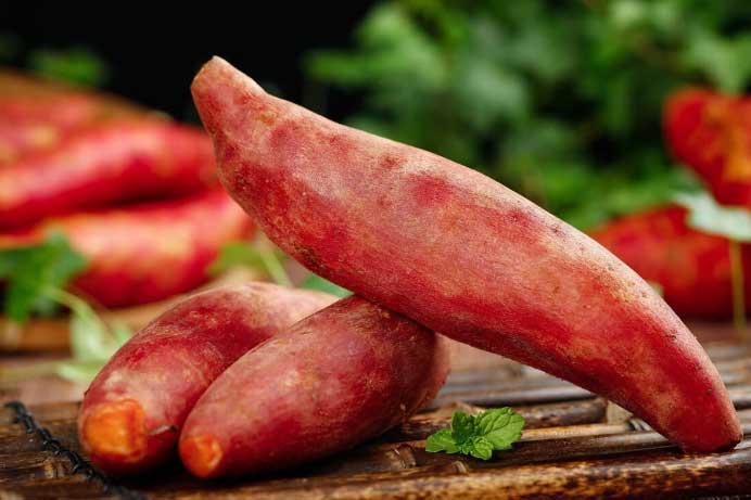 5 thực phẩm vừa ngon vừa rẻ lại "đánh bại" chứng đau nửa đầu, ai cũng nên ăn