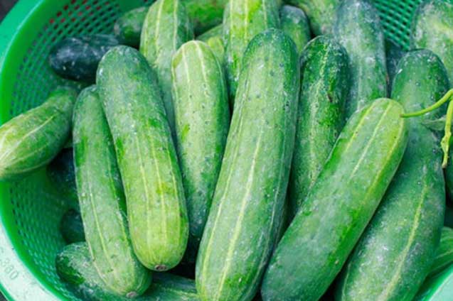 8 thực phẩm 'lợi tiểu, nhuận tràng', giúp thải độc thanh lọc cơ thể bạn nên ăn thường xuyên