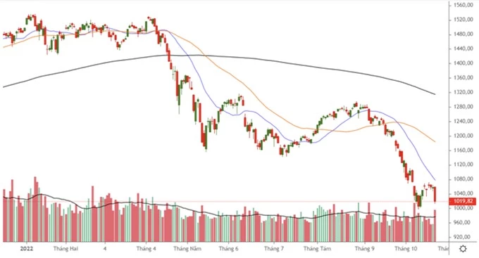 Chứng khoán Việt giảm mạnh nhất thế giới, cọc nào cho VN-Index neo lại? - 1