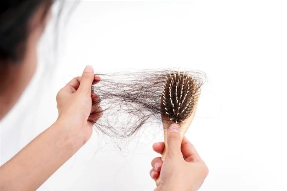 Top 5 thực phẩm kích thích mọc tóc, ngăn ngừa gãy rụng tóc hiệu quả nhất