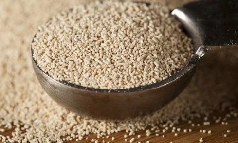 Lưu ý khi dùng men nở làm bánh