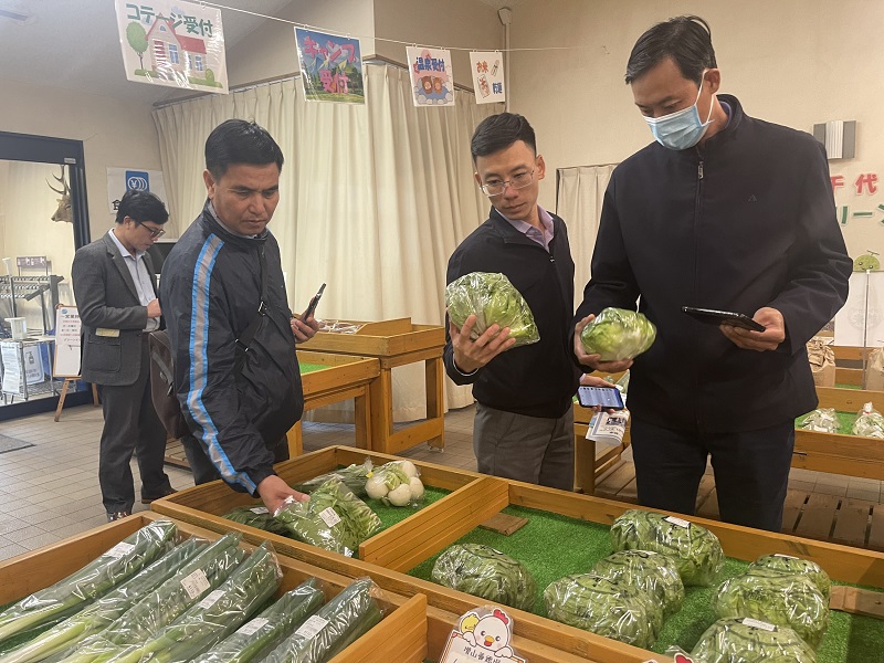 Tham quan các sản phẩm rau củ quả công nghệ cao của Nhật.