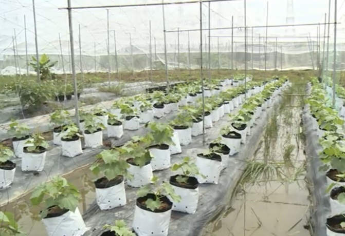 Vĩnh Long triển khai nhiều giải pháp hỗ trợ khởi nghiệp thành công