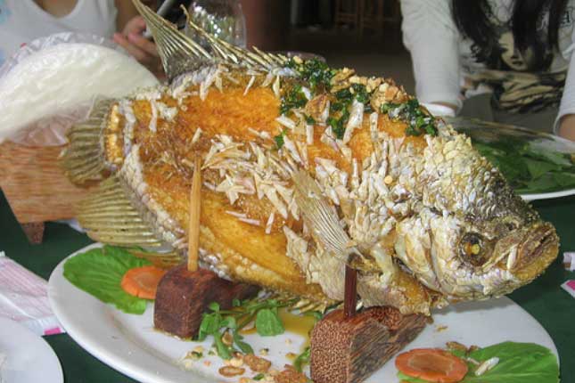 Ăn cá rất tốt nhưng phạm vào đại kị này thì gây hại khó lường