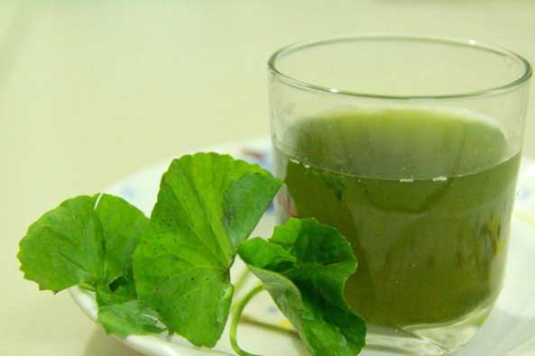 Uống nước rau má theo cách này tốt như tiên dược, nhất là điều thứ 3