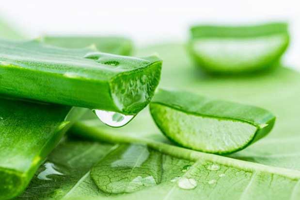 Những loại thực phẩm "rẻ bèo" giúp mờ nám, tàn nhang, làm sáng da hiệu quả