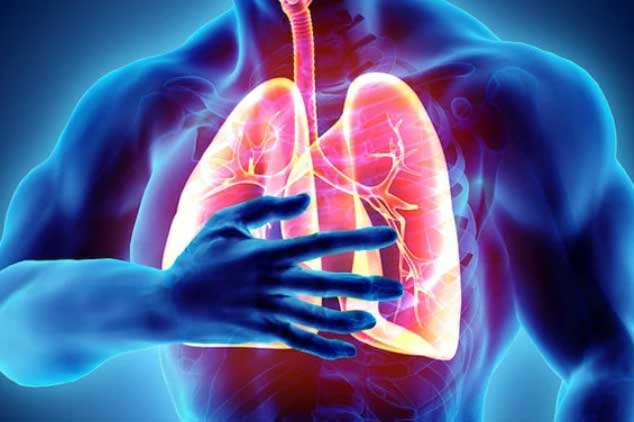 Thực phẩm thải độc và làm sạch phổi hiệu quả, số 1 nhiều người vẫn bỏ qua