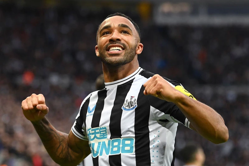 Tiền đạo: Callum Wilson (Newcastle).