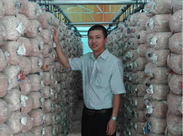 Ông Nguyễn Anh - Giám đốc Công ty TNHH MTV Thiên Vạn Tường bên những bịch phôi nấm bào ngư xám.