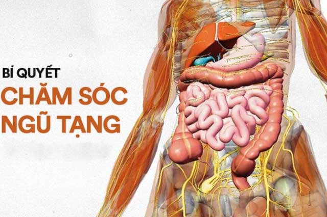 Muốn nội tạng "hồi sinh" tự nhiên cứ làm theo cách đơn giản này, bệnh tật cũng bị "đánh lùi"