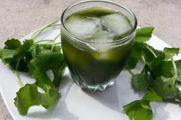 Uống nước rau má theo cách này, giảm cân an toàn, thấy ngay hiệu quả