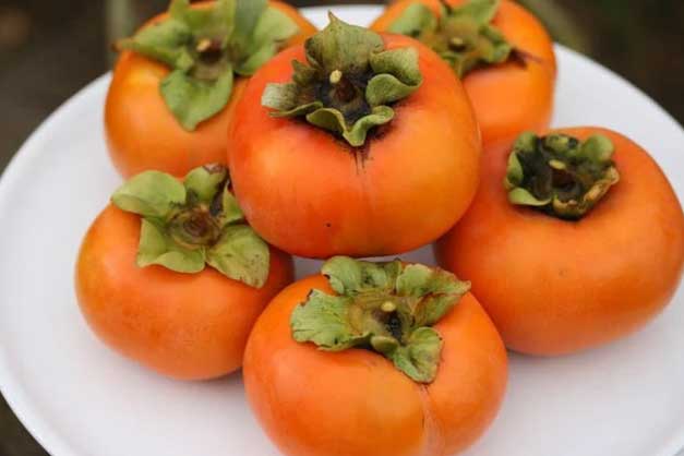 Lợi ích hiếm có của quả hồng và sai lầm khi ăn mà nhiều người vẫn thản nhiên bỏ qua