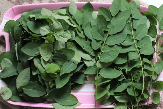 3 cách trị nhiệt miệng bạn cần nhớ