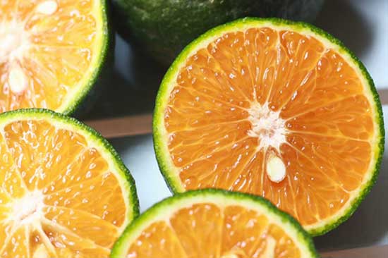 Người bán cam không bao giờ tiết lộ: Bí quyết chọn cam tươi ngon mọng nước