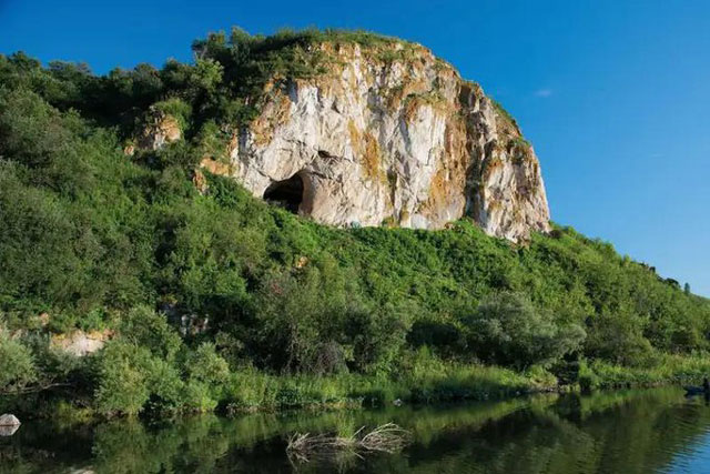 Hàng loạt bất ngờ khi giải mã bộ gien 13 "người khác loài"