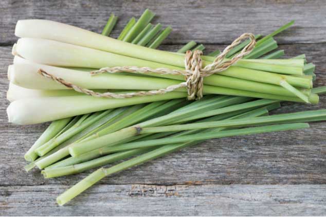 Lấy 1 củ sả đun nước uống mỗi ngày: Vừa giải độc gan - thận, vừa dưỡng da, giảm cân