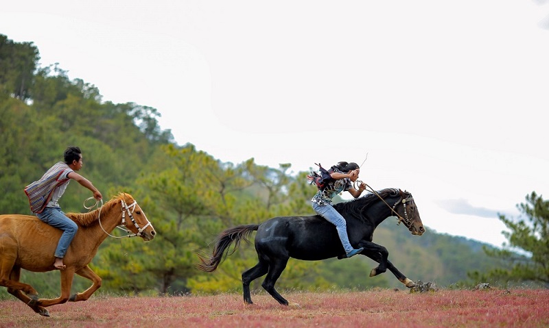 Lần đầu tổ chức giải đua ngựa không yên chuyên nghiệp dịp Festival Hoa Đà Lạt 2022
