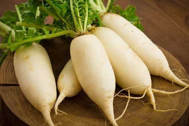 Mỗi ngày một củ cải rẻ bèo có tác dụng giảm cân và phòng ngừa bệnh tật hiệu quả