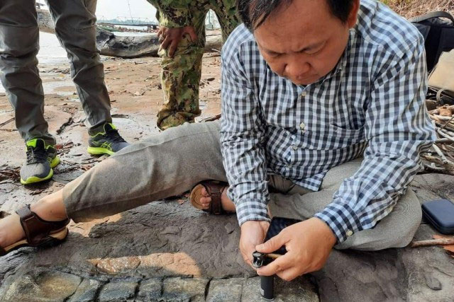 Quái thú khổng lồ, lên đến 190 triệu tuổi lộ diện ở Campuchia