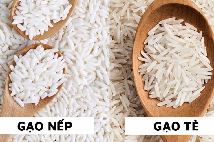 Cũng chứa tinh bột như gạo tẻ, tại sao gạo nếp lại dẻo hơn? Ăn loại nào béo hơn?
