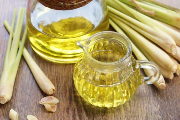 Công dụng "đắt giá" của cây sả, ai bỏ qua sẽ tiếc hùi hụi