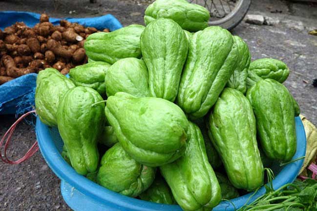 Những lợi ích thần kì của quả su su với sức khỏe con người