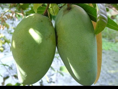 Thực phẩm tuyệt đối không ăn khi bị trào ngược dạ dày