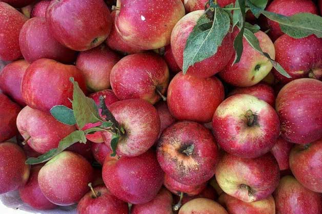 Loại trái cây hại gan khủng khiếp, tránh xa ngay nếu không muốn gan "lăn ra hỏng"