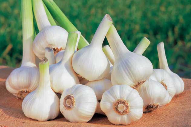 5 thực phẩm "vàng" làm sạch mạch máu, ngăn ngừa nguy cơ đột quỵ, trời càng lạnh càng nên bổ sung