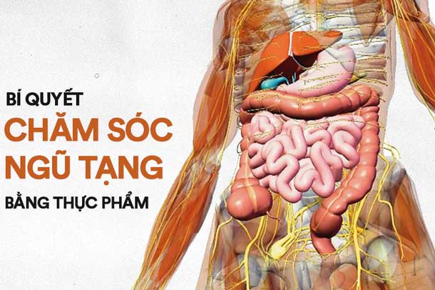 Thực phẩm bổ thận, chăm sóc nội tạng hiệu quả hơn cả dùng thuốc