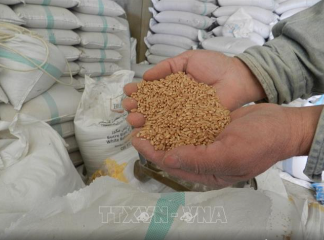 Việt Nam sẽ làm gì để đảm bảo an ninh lương thực quốc gia?