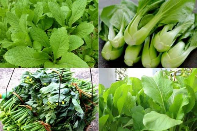 10 siêu thực phẩm giúp thanh lọc phổi tốt nhất, ai cũng nên ăn mỗi ngày