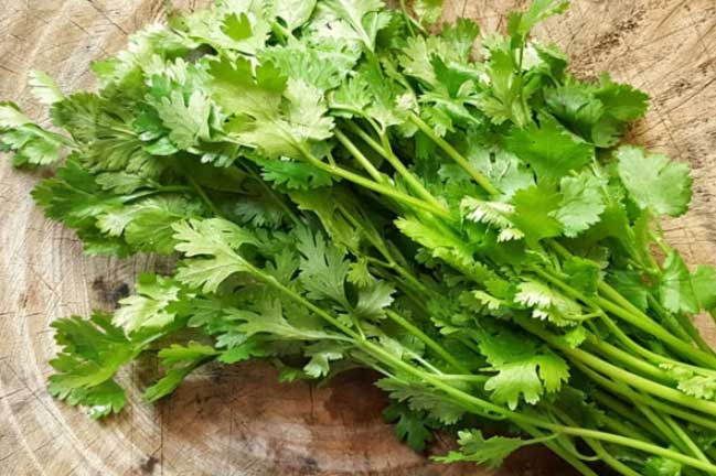 Mỗi ngày nhớ ăn một nắm rau mùi, tốt cho trí não lại ngăn ngừa ung thư