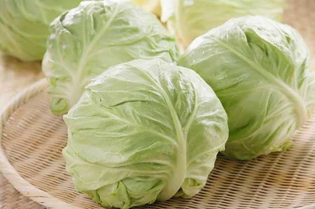 Những thực phẩm giàu đạm ít béo, ăn no cũng không lo tăng cân