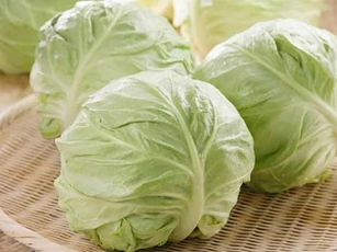 Những thực phẩm giàu đạm ít béo, ăn no cũng không lo tăng cân