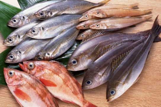 Chớ dại mà ăn những loại cá "ngậm" nhiều thủy ngân này, nhiễm độc như chơi