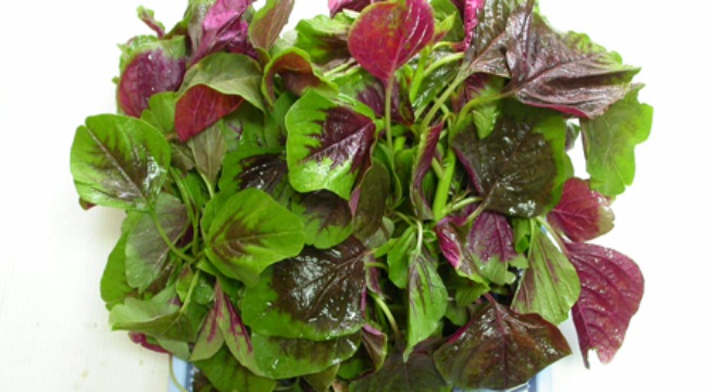 5 loại rau nhiều canxi bà bầu cần ăn ngay hôm nay