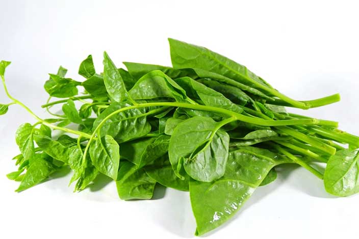 Rau mồng tơi ăn rất ngon, nhưng hãy nhớ 7 đại kỵ khi ăn: Coi chừng sỏi thận, ngộ độc cả nhà