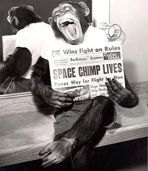 

Con tinh tinh chụp một bức ảnh sau khi thực hiện sứ mệnh thành công vào năm 1961  