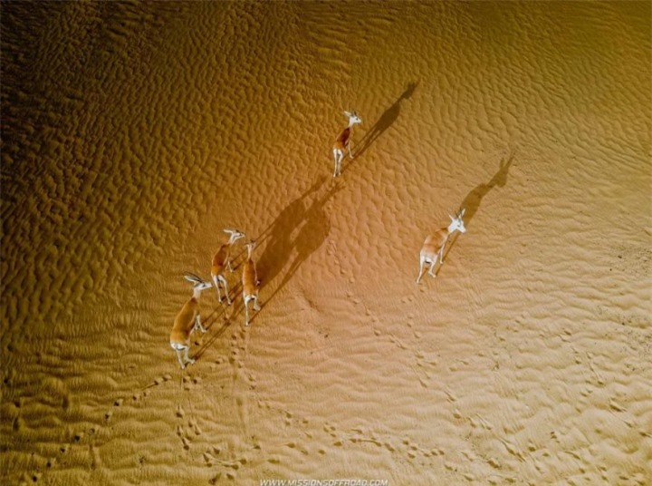 Vẻ ấn tượng của hồ nước hình trăng khuyết lọt thỏm giữa sa mạc cằn cỗi - 5