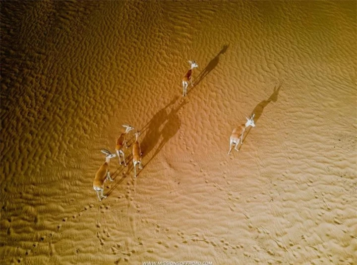 Vẻ ấn tượng của hồ nước hình trăng khuyết lọt thỏm giữa sa mạc cằn cỗi - 5