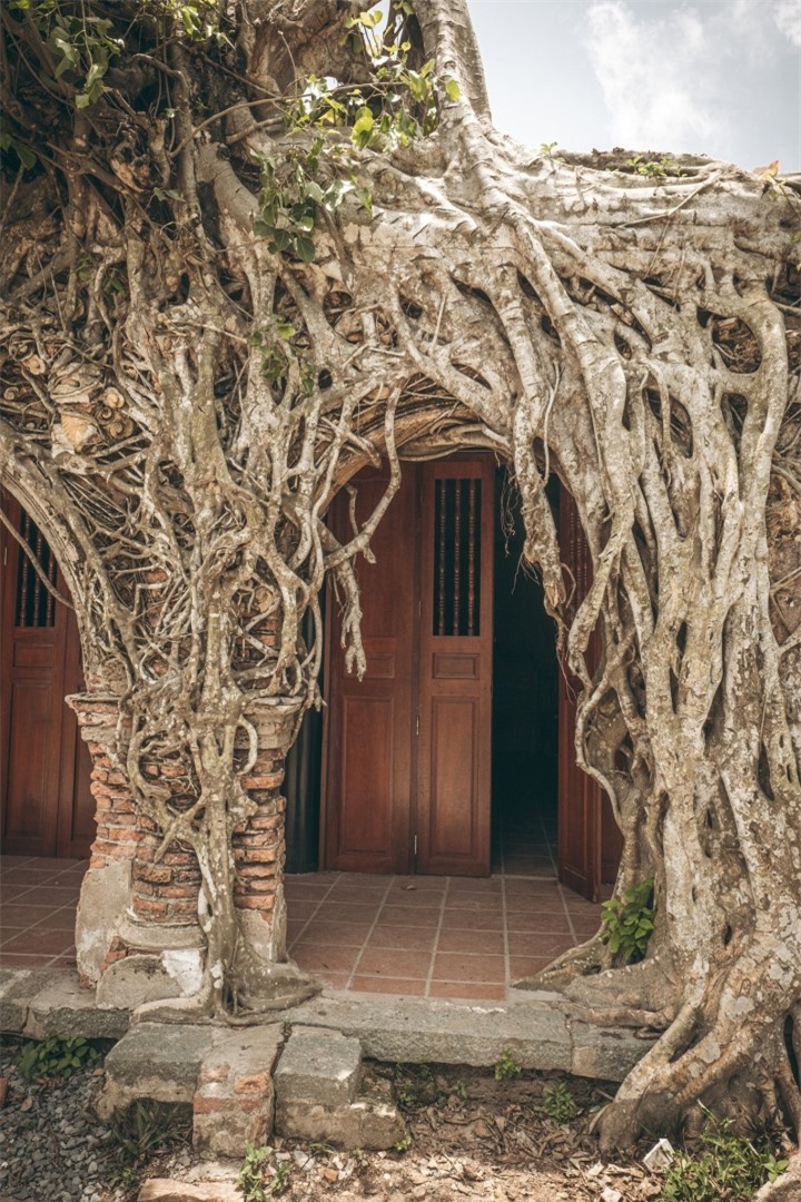Vẻ cổ kính bí ẩn ở ngôi đình trăm tuổi ‘hợp nhất’ với cây bồ đề - 4