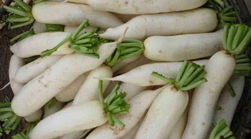 Thực phẩm tránh không nên ăn cùng củ cải