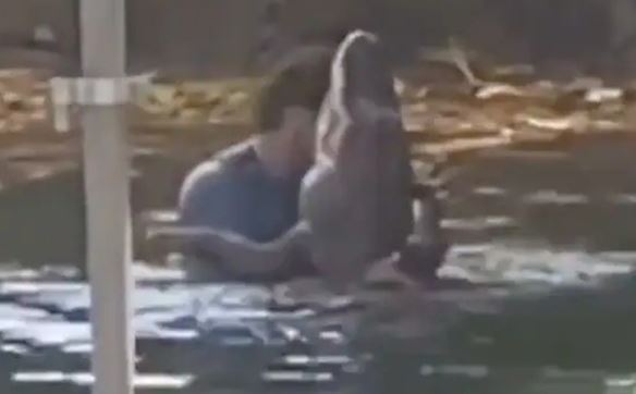 Khiêu vũ với cá sấu